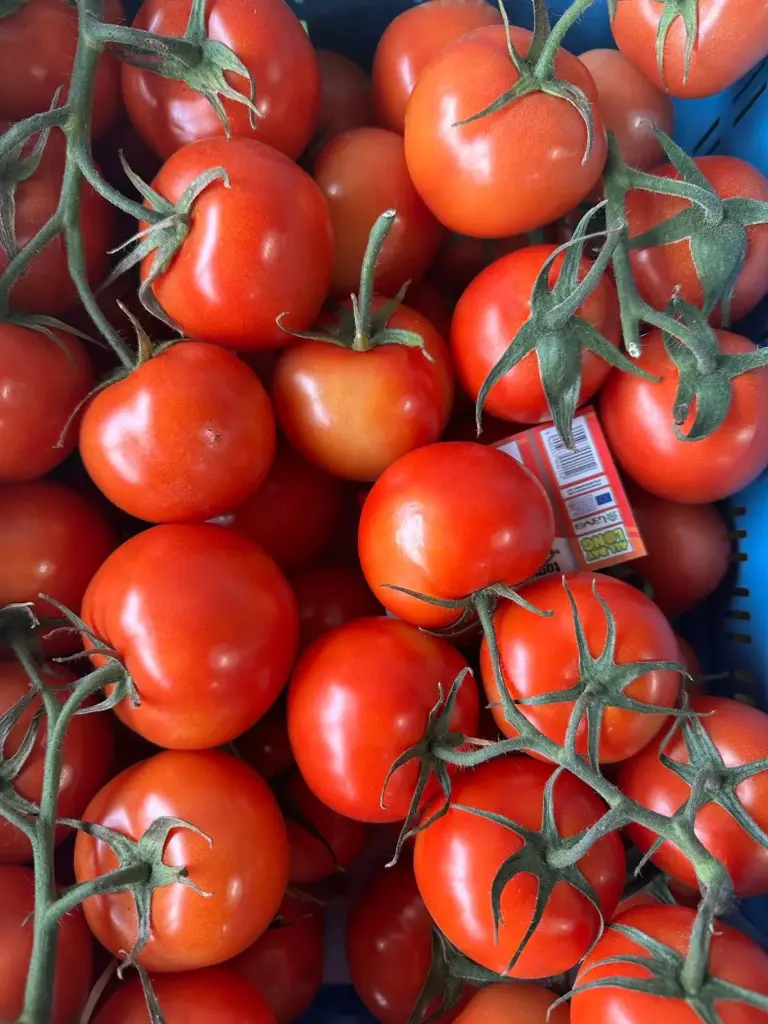 Tomaten - 5kg