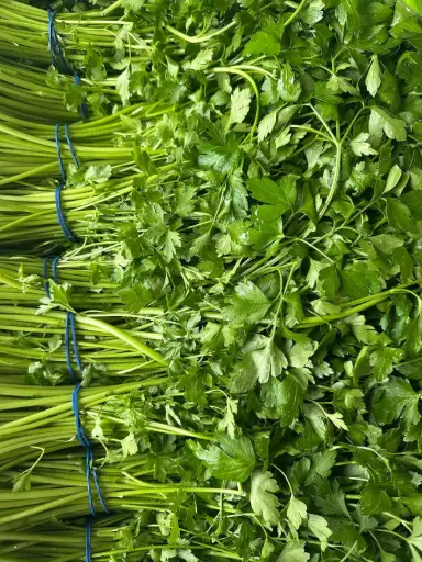 [PR-04282] Petersilie - Kiste 20er